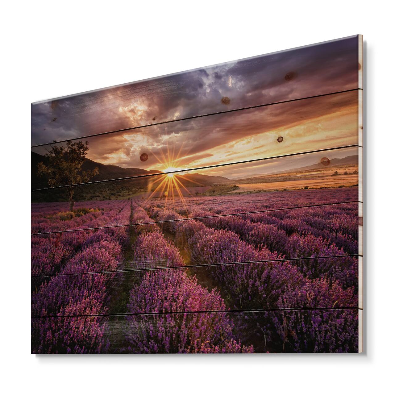 Designart - Sunrise & Dramatic Clouds Over Lavender Field IV - Farmhouse Print on Natural Pine Wood